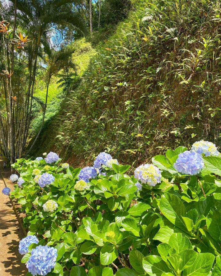 Hotel Fazenda Bonanza Engenheiro Paulo de Frontin ภายนอก รูปภาพ