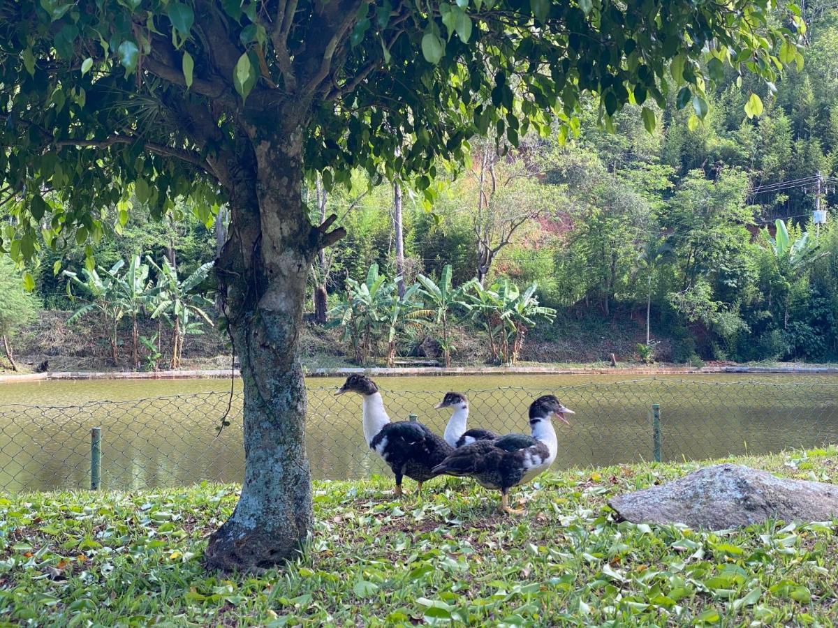 Hotel Fazenda Bonanza Engenheiro Paulo de Frontin ภายนอก รูปภาพ