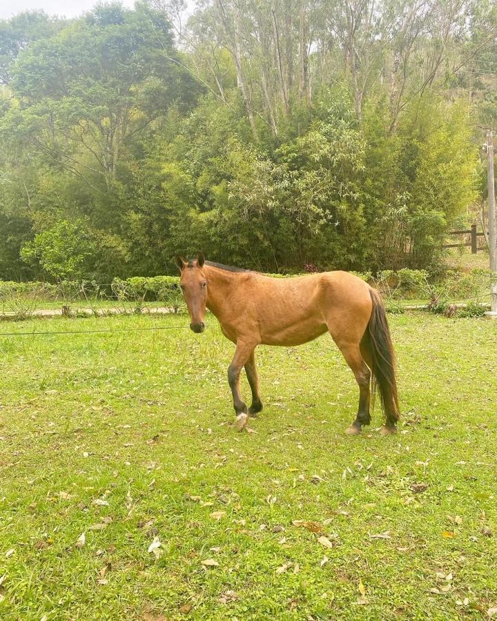 Hotel Fazenda Bonanza Engenheiro Paulo de Frontin ภายนอก รูปภาพ